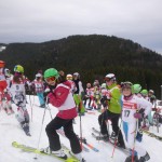 ski_kreisentscheid_jan16 (2)